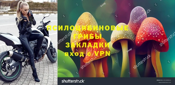 альфа пвп Новодвинск