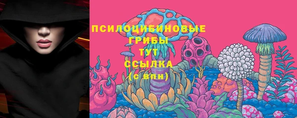 мет Армянск